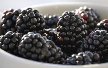 Дієтолог назвала продукти корисними для мозку