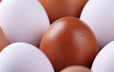 Чого ви не знали про яйця: 5 головних міфів