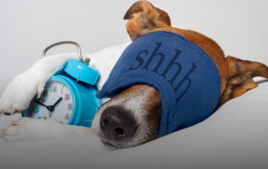10 порад, як відновити режим сну