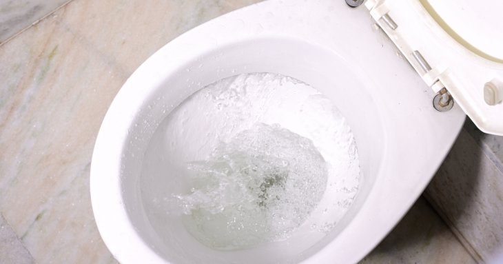 Капніть на серветку — й унітаз сяятиме навіть у темряві: наліт, іржа, сечовий камінь зійдуть самі