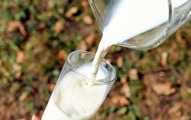 Один продукт з кухні — томати плодоноситимуть до вересня: допомагає від фітофтори, а плоди виростають по 600 г кожен