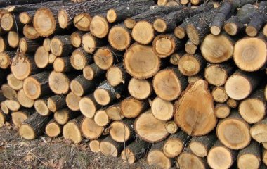 Які дрова краще не брати для опалення каміна чи печі – перелік