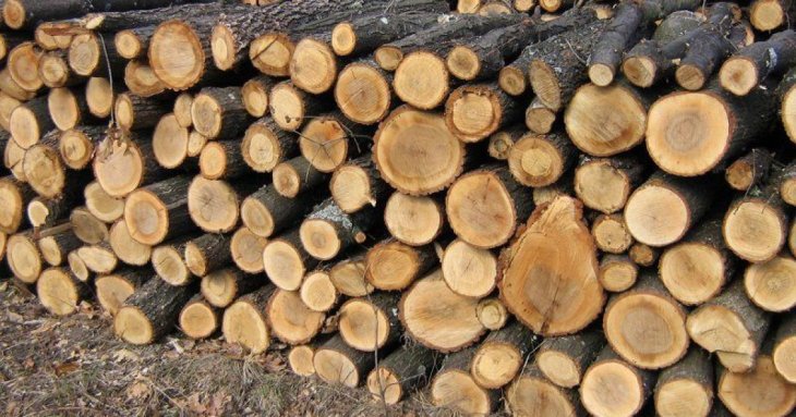 Які дрова краще не брати для опалення каміна чи печі – перелік