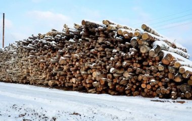 Заготівля дров: де можна купити їх офіційно