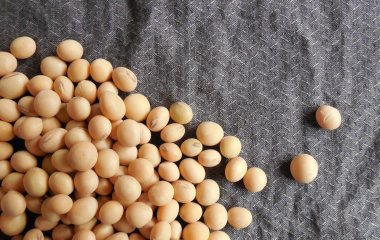Додайте до свого раціону один дешевий продукт: експерти стверджують — це шлях до подовження життя
