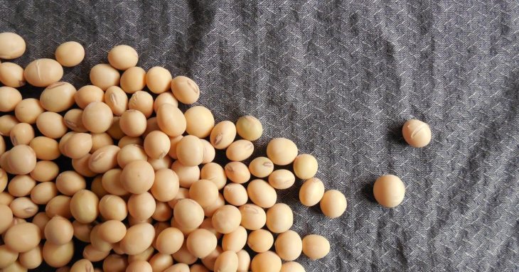 Додайте до свого раціону один дешевий продукт: експерти стверджують — це шлях до подовження життя