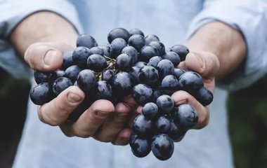 Лікарі розповіли, як знизити рівень глюкози у крові: п'ять важливих продуктів