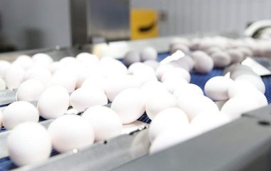 Лікар попередила про небезпеку вживання яєць у великій кількості