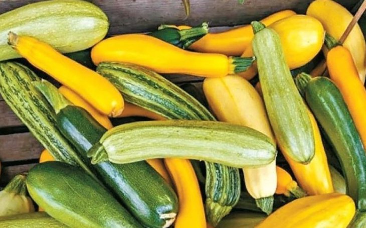 Чем полезны кабачки, кому они противопоказаны
