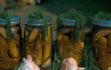 Як правильно квасити огірки у каструлі: сім секретів від професіоналів