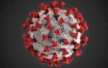 Что делать при подозрении на COVID-19: полезные рекомендации от Кабмина