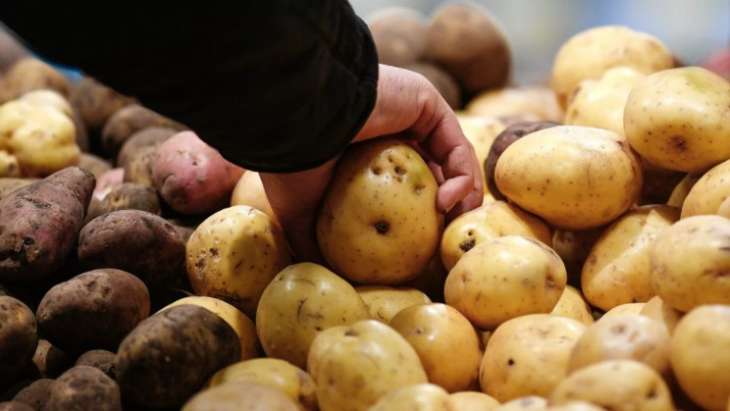 Названа серьезная опасность картофеля