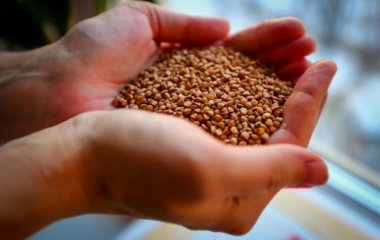 Лікарі розповіли, як може зашкодити гречана каша