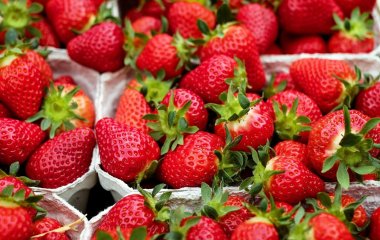 Ученые нашли самую опасную для здоровья ягоду