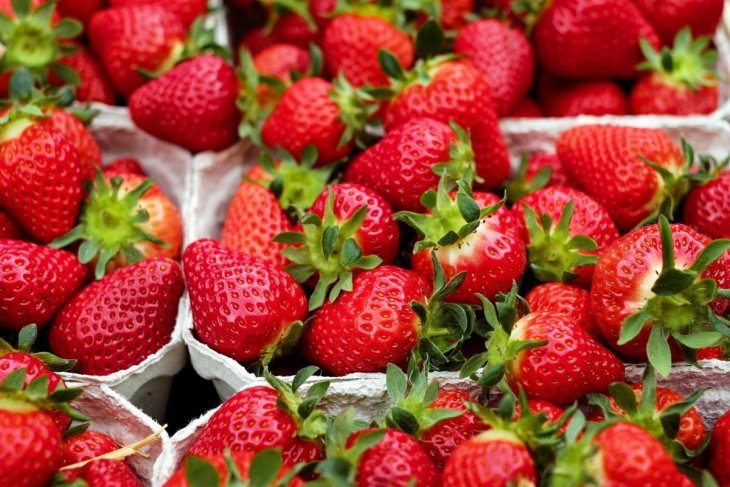 Вчені знайшли найнебезпечнішу для здоров'я ягоду