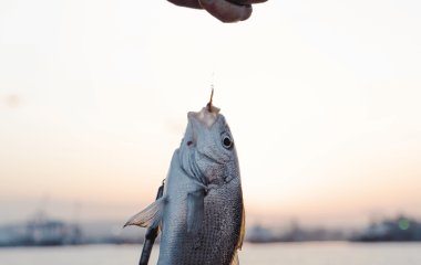 Календар рибалки на вересень 2025 року: коли найкраще клюватиме, а в які дати на улов можна не чекати