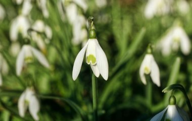 Народні прикмети сьогодні, 18 березня: що заборонено і дозволено робити