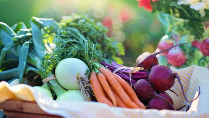 Дослідники винайшли новий спосіб знезараження продуктів