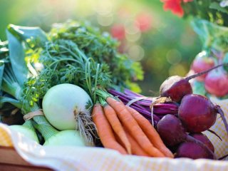 Исследователи изобрели новый способ обеззараживания продуктов