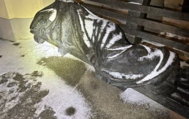 Медики і копи приїхали на виклик та реготали, коли виявили, кого треба рятувати – фото