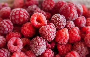 Як зберегти пам’ять і ясність розуму: цей продукт уповільнює старіння мозку