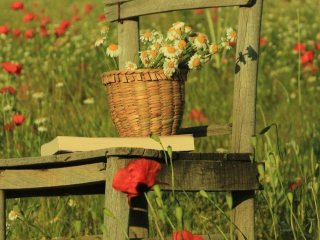 День ангела 13 серпня: кого та як вітати з іменинами