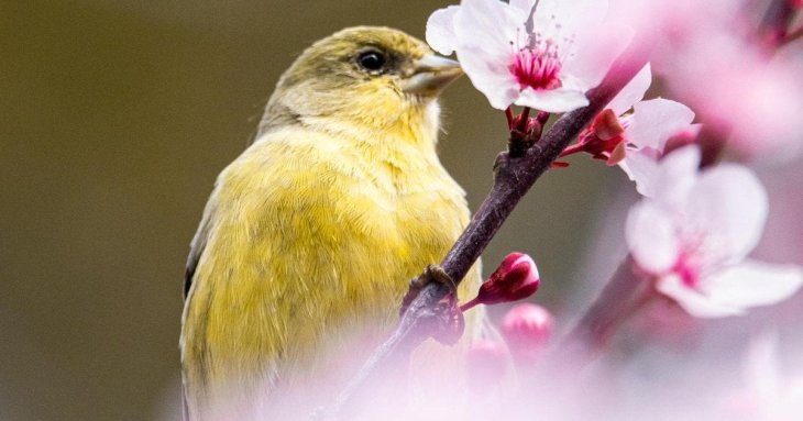 День ангела 23 квітня: кого та як вітати з іменинами