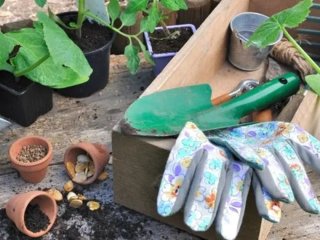 Що обов’язково потрібно зробити в травні на городі, в саду