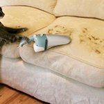 Как почистить мягкую мебель от пыли