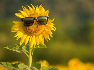 Сильні та швидкі літні зачіски для будь-якої ситуації