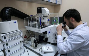 Протизапальна речовина захистила клітини мозку від загибелі