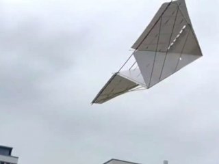 Учні створили найбільший у світі паперовий літак на радіокеруванні — фото