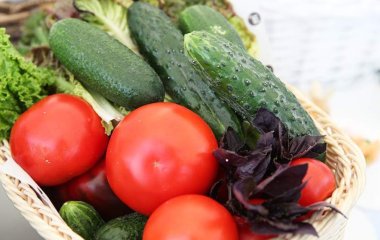 Дієтолог назвала корисні у спеку продукти