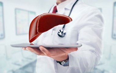 Вчені відкрили секрети відновлення печінки