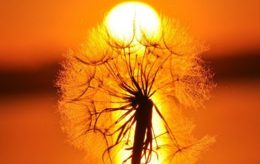 День ангела 5 липня: кого та як вітати з іменинами
