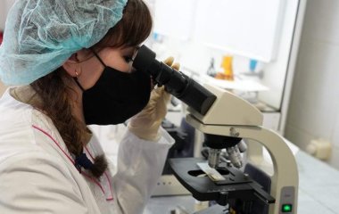 Вчені створили засіб від ран із «павучого шовку»