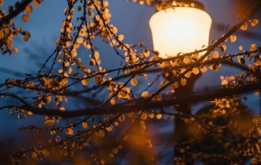 День ангела 20 листопада: кого та як вітати з іменинами