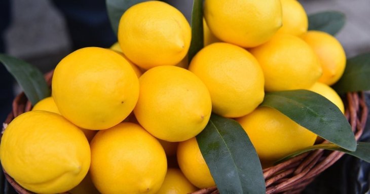 Не тільки в Монобанку: як обрати найстигліші лимони