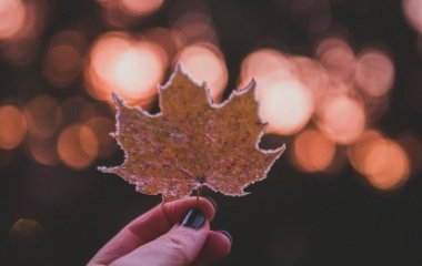 День ангела 21 жовтня: кого та як вітати з іменинами