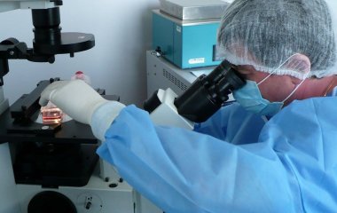 Біологи з'ясували, що кишкові бактерії можуть перешкоджати розвитку діабету