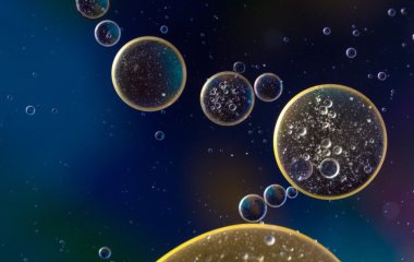 Вчені довели ефективність дешевого засобу при лікуванні псоріазу