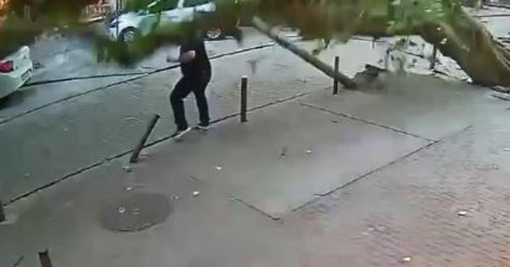 Величезне дерево та електричний стовп впали просто на перехожого: чоловік дивом вижив — відео