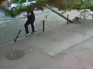 Величезне дерево та електричний стовп впали просто на перехожого: чоловік дивом вижив — відео