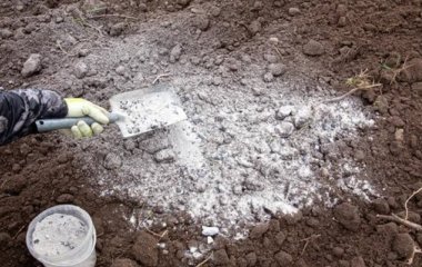 Навіщо у березні розсипати попіл по саду: добриво і не лише