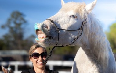 Кінь шокував, виконавши 38 трюків за 3 хвилини: що вміє тварина (фото)