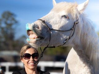 Кінь шокував, виконавши 38 трюків за 3 хвилини: що вміє тварина (фото)