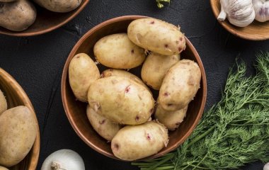 Чи можна їсти пророщену картоплю: вчені дали остаточну відповідь
