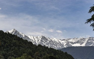 Морські скам’янілості на вершинах гір: у Мережі знову заговорили про Великий потоп (фото)