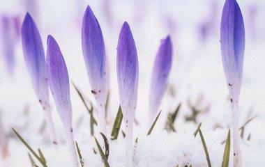 День ангела 9 березня: кого та як вітати з іменинами