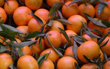 Мандарини: як улюблений зимовий фрукт може завдати шкоди здоров’ю